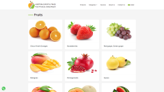 شركة اجريتورا للتصدير والتجارة - صورة إضافية رقم 5